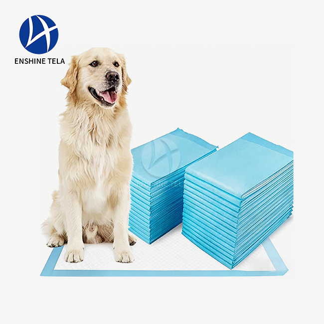 Pet Wee Pee Piddle Pad